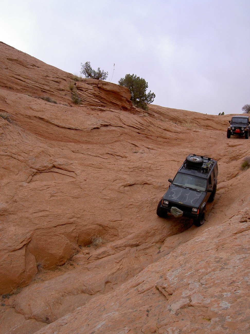 2008JEEPSAFARI1 (14).JPG
